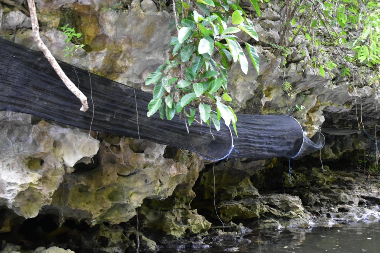 Kampoeng Karst Rammang Rammang Pension Kasijala Buitenkant foto