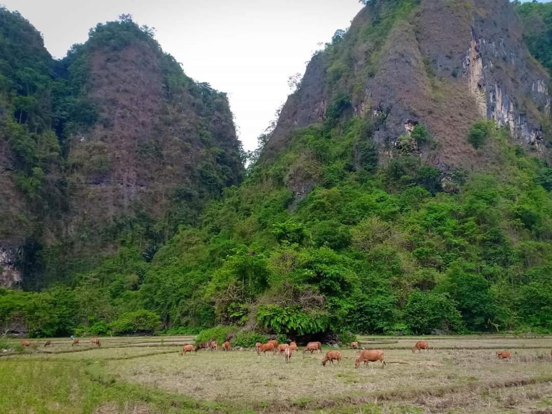 Kampoeng Karst Rammang Rammang Pension Kasijala Buitenkant foto