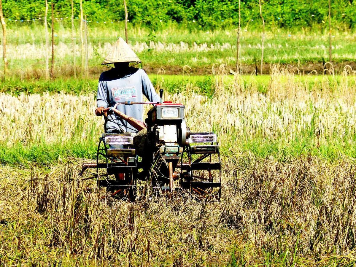 Kampoeng Karst Rammang Rammang Pension Kasijala Buitenkant foto