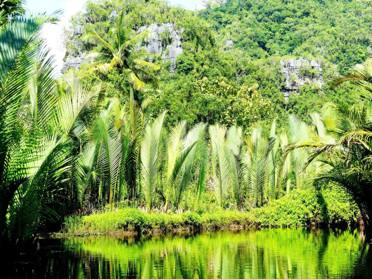 Kampoeng Karst Rammang Rammang Pension Kasijala Buitenkant foto