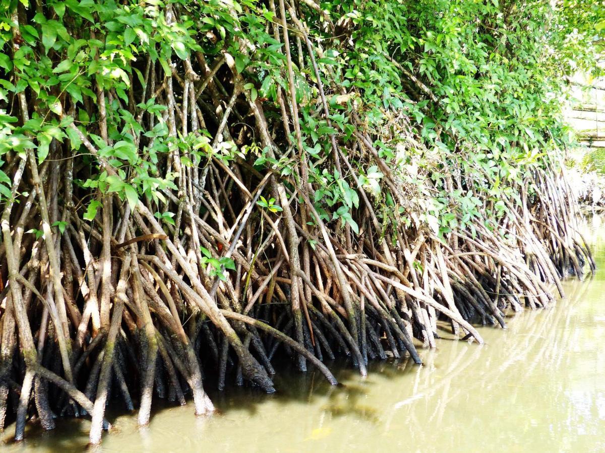 Kampoeng Karst Rammang Rammang Pension Kasijala Buitenkant foto