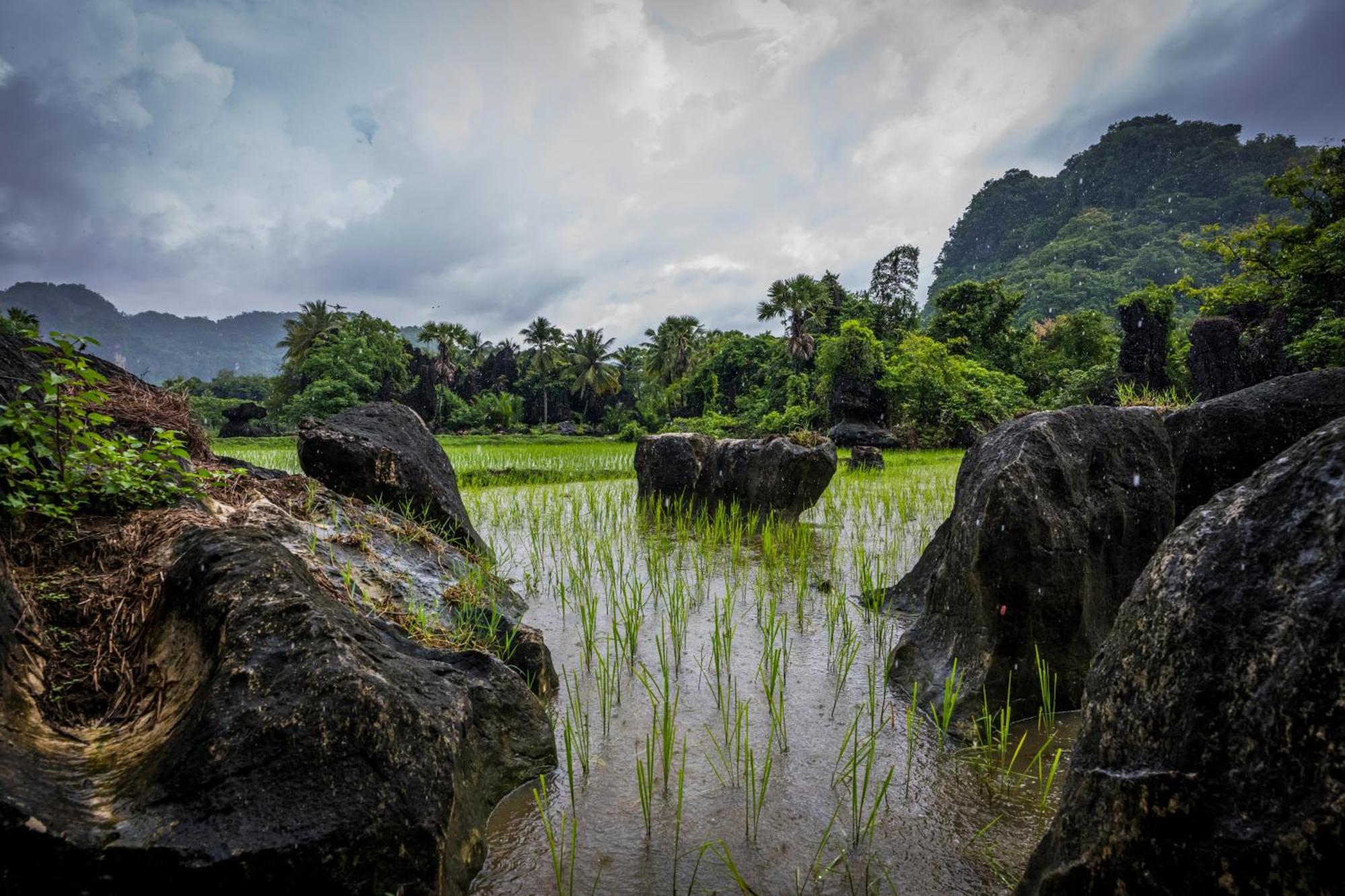 Kampoeng Karst Rammang Rammang Pension Kasijala Buitenkant foto