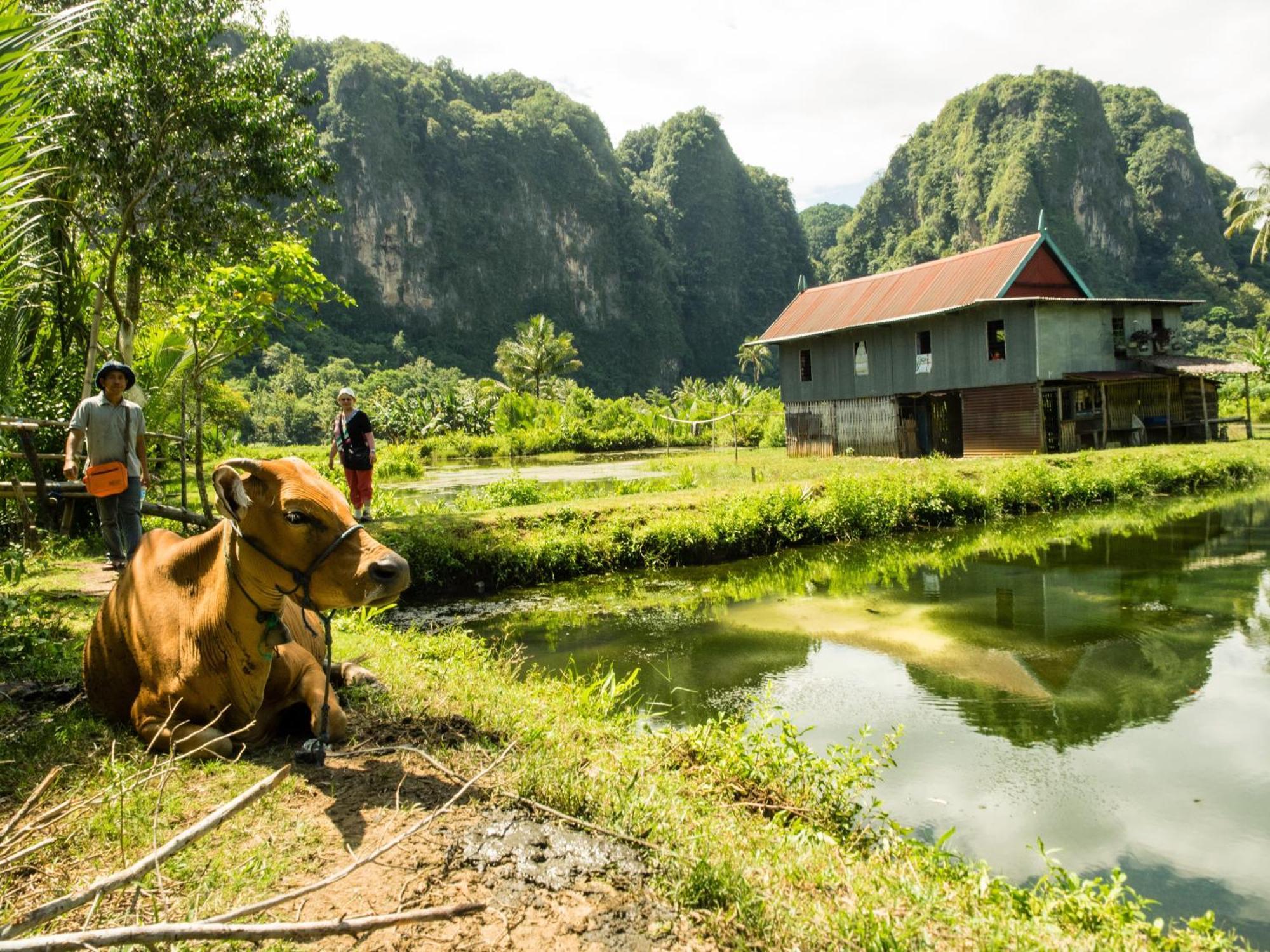 Kampoeng Karst Rammang Rammang Pension Kasijala Buitenkant foto